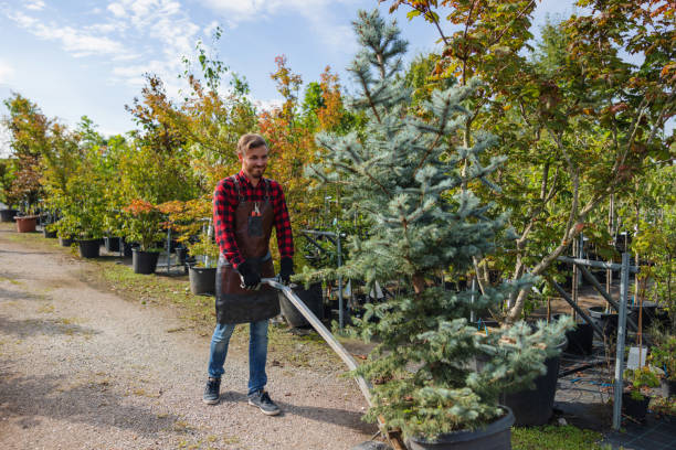 Mulching Services in Poulsbo, WA